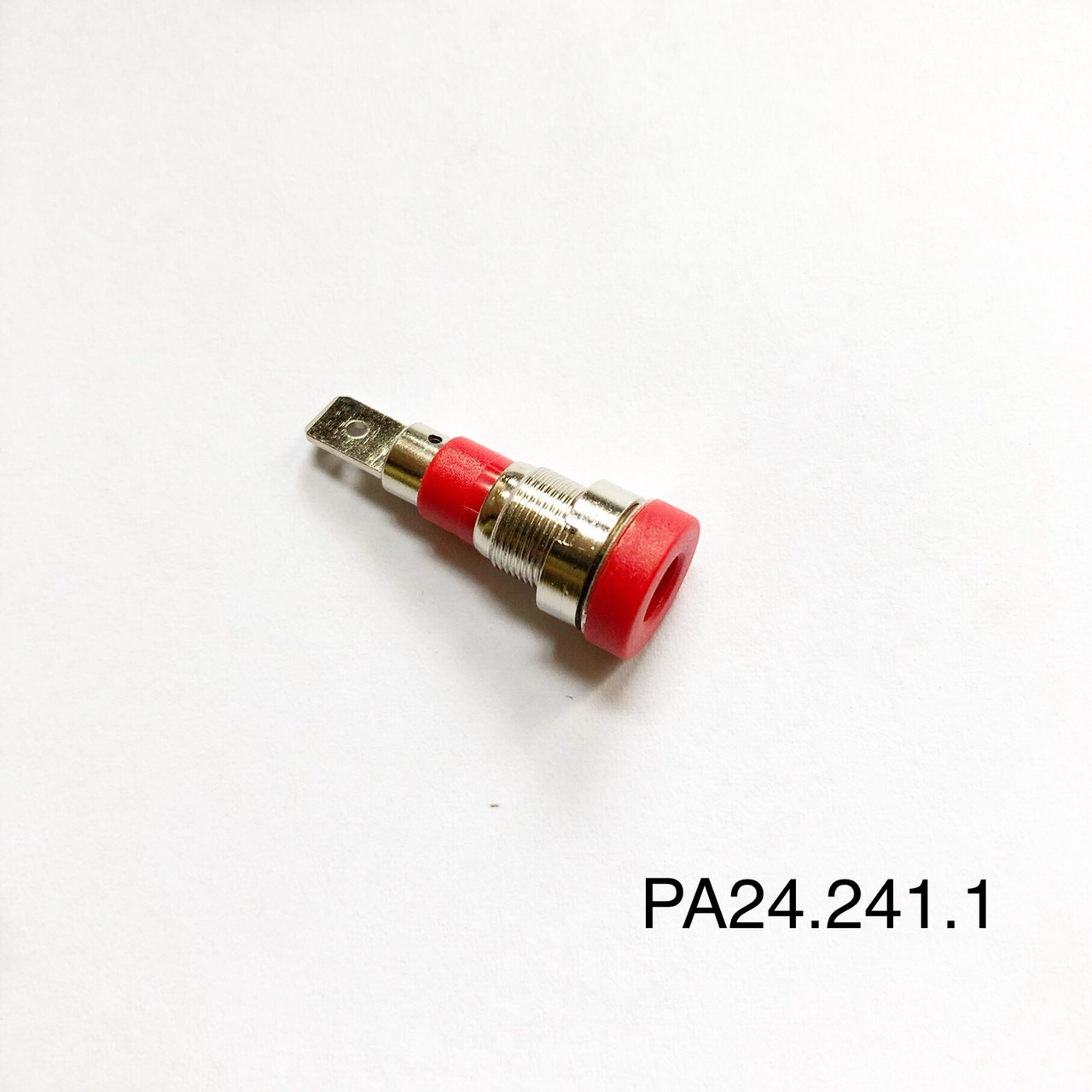 PA24.241.1